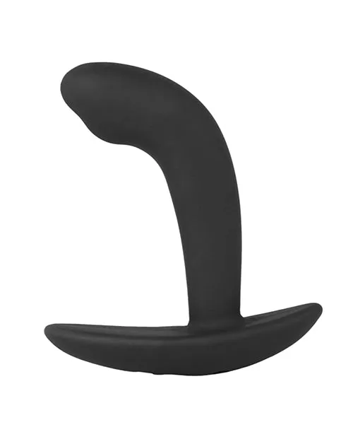 Electrastim ElectraStim Electro Booty Buddy Prostate Massager Male Sex Toys