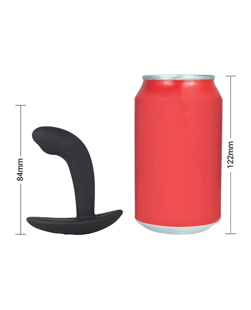 Electrastim ElectraStim Electro Booty Buddy Prostate Massager Male Sex Toys