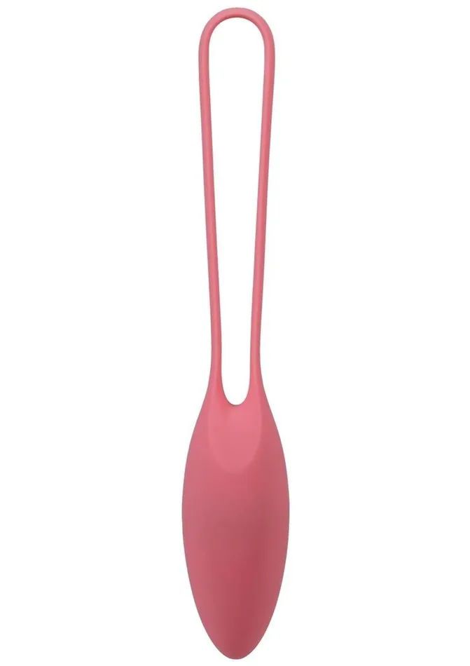Female Sex Toys In A Bag In A Bag Kegel Trainer Kit