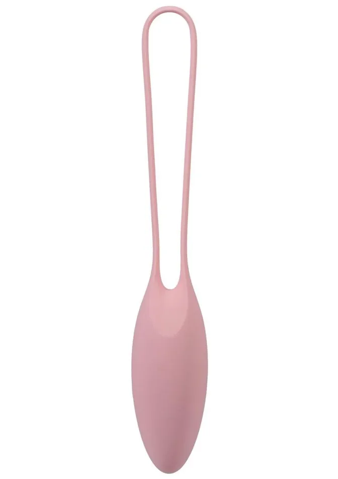 Female Sex Toys In A Bag In A Bag Kegel Trainer Kit