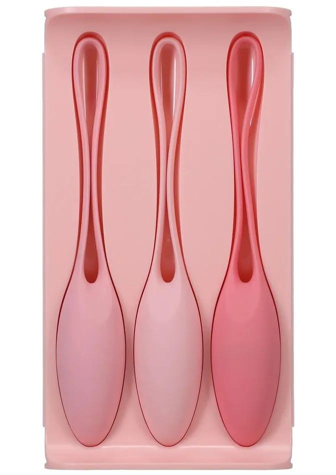 Female Sex Toys In A Bag In A Bag Kegel Trainer Kit